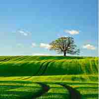 技﻿术‌教‌程‍分​享﻿怎‌么​写‌